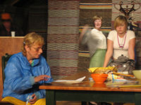 Suomen Hevonen 2006